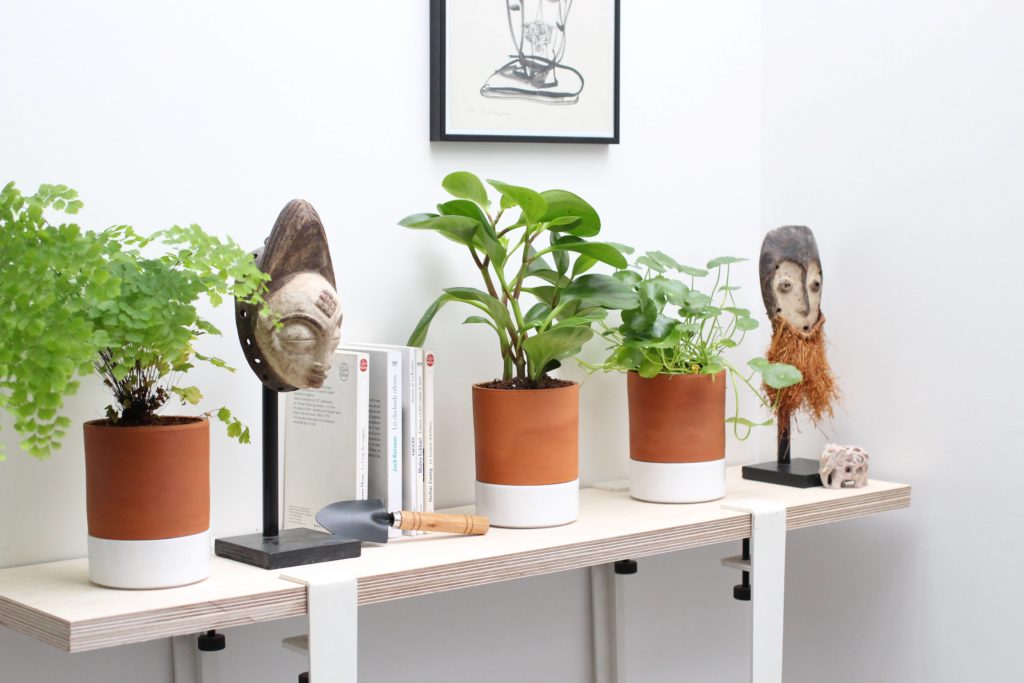 Le pot Jeannot permet de végétaliser et décorer simplement un bureau 
