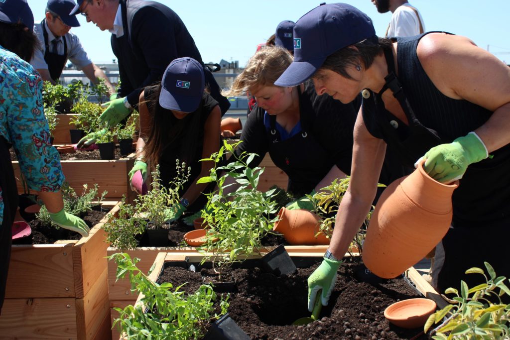 Les collaborateurs jardinent ensemble pour créer le potager ce qui favorise les échanges informels et une ambiance conviviale.