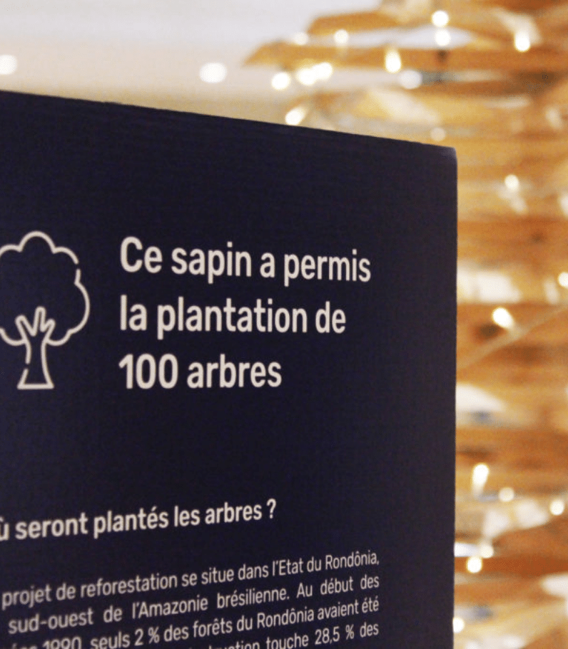 100 arbres plantes