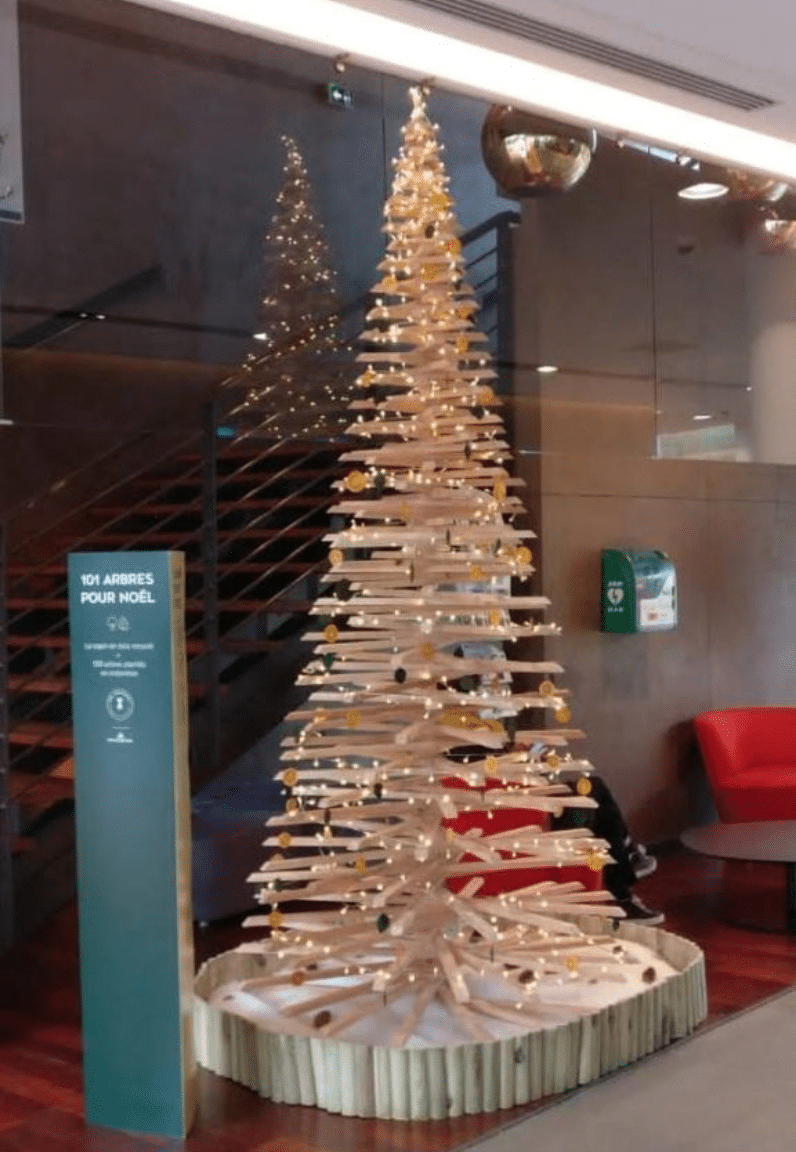 Decorations Naturelles 1