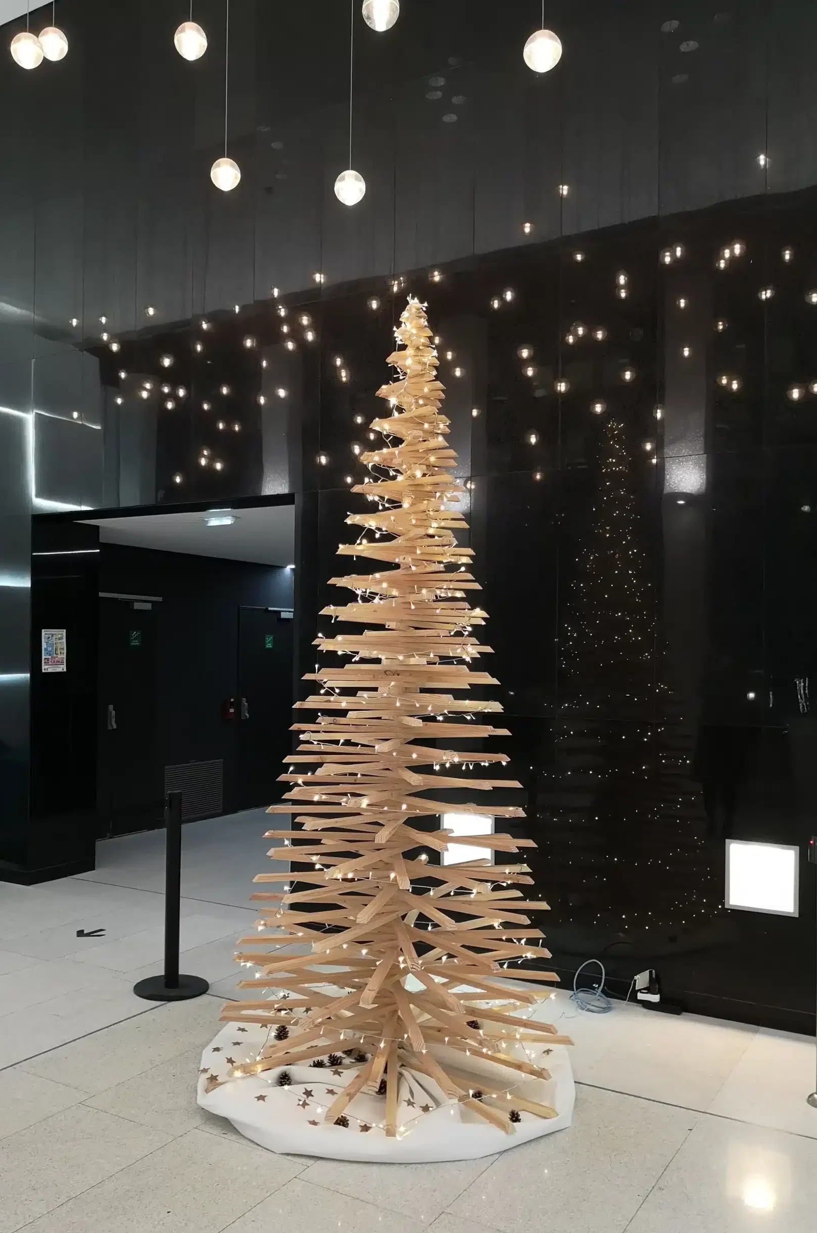 éco-sapin Ciel mon radis chez Bayard