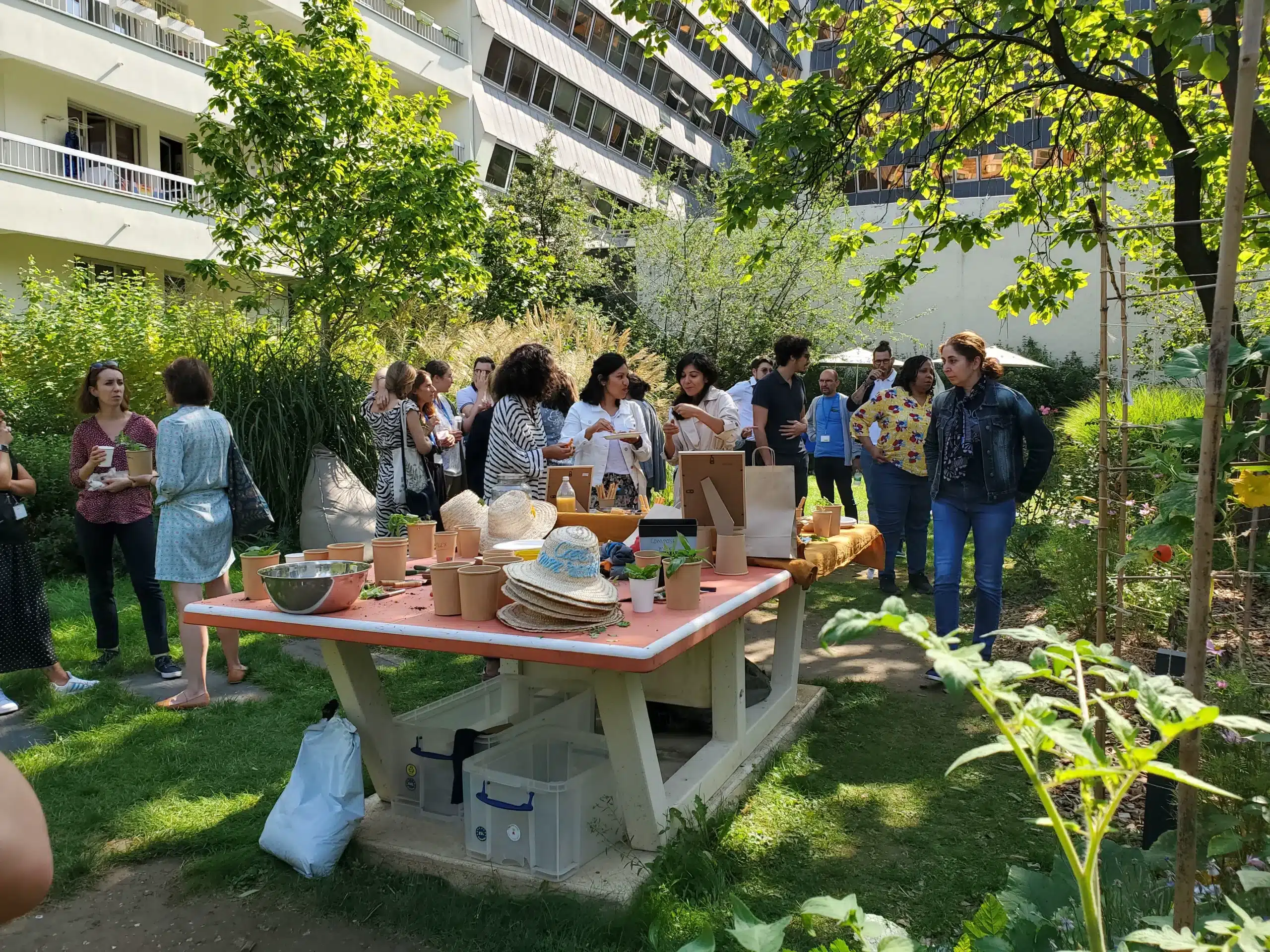 Potager Kadence par Sefal Property & Ciel mon radis