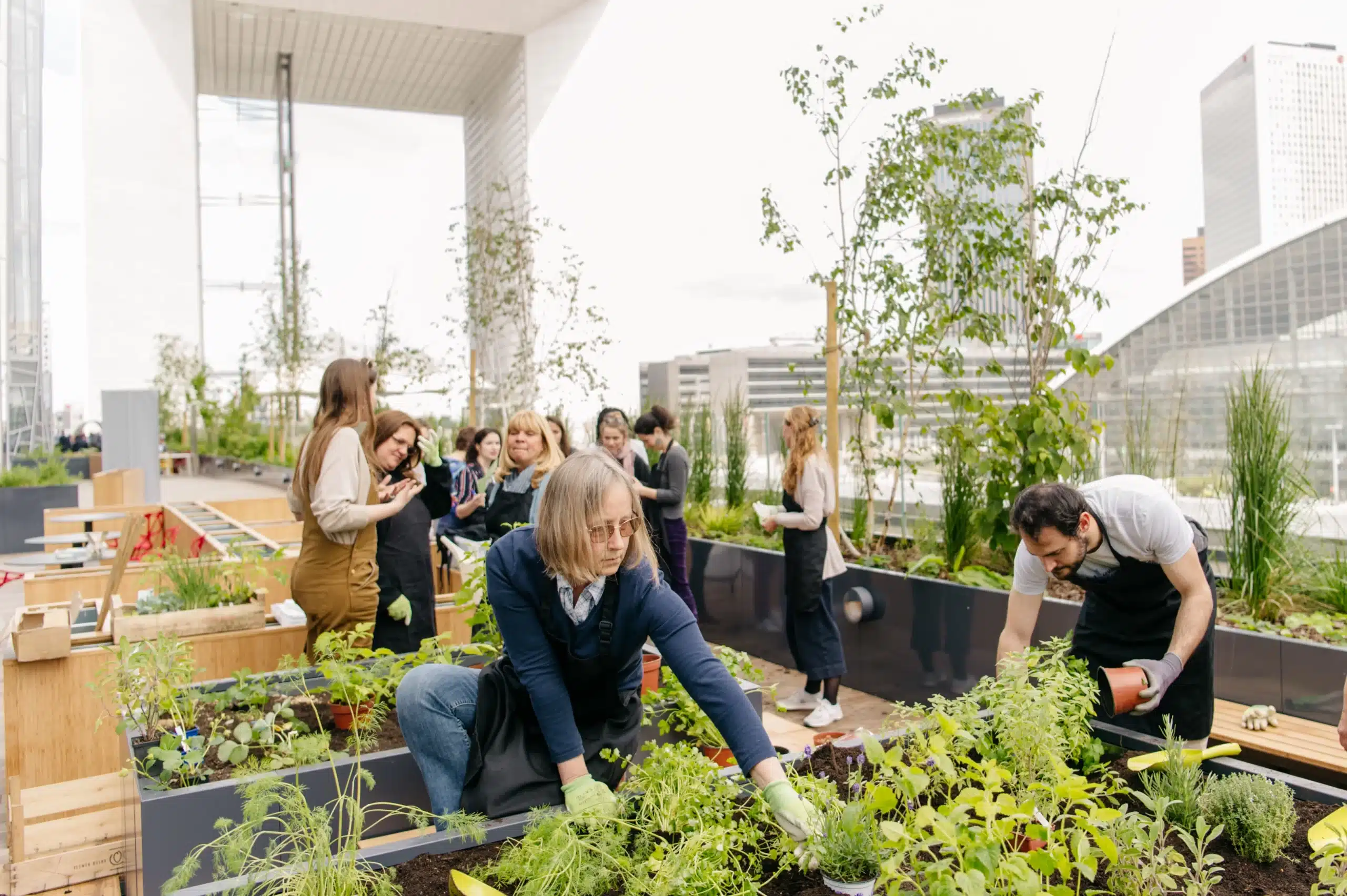 Terrasse végétalisée chez RTE à La Défense