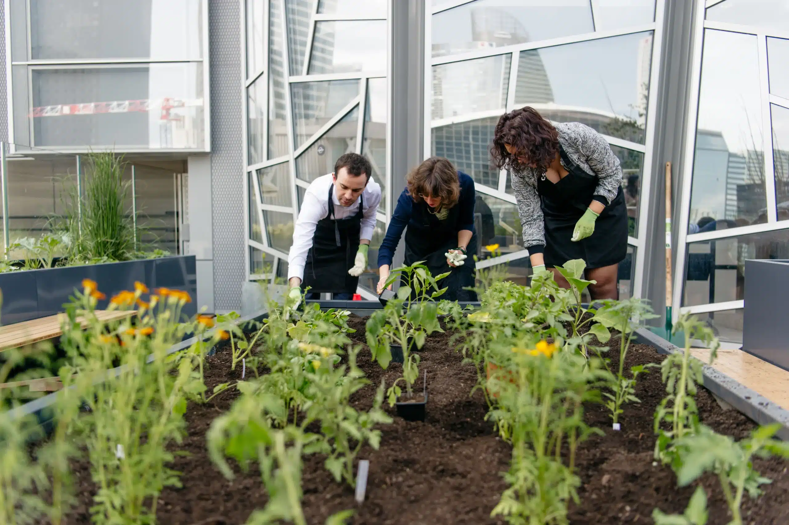 devenir animateur jardinier après un BPREA