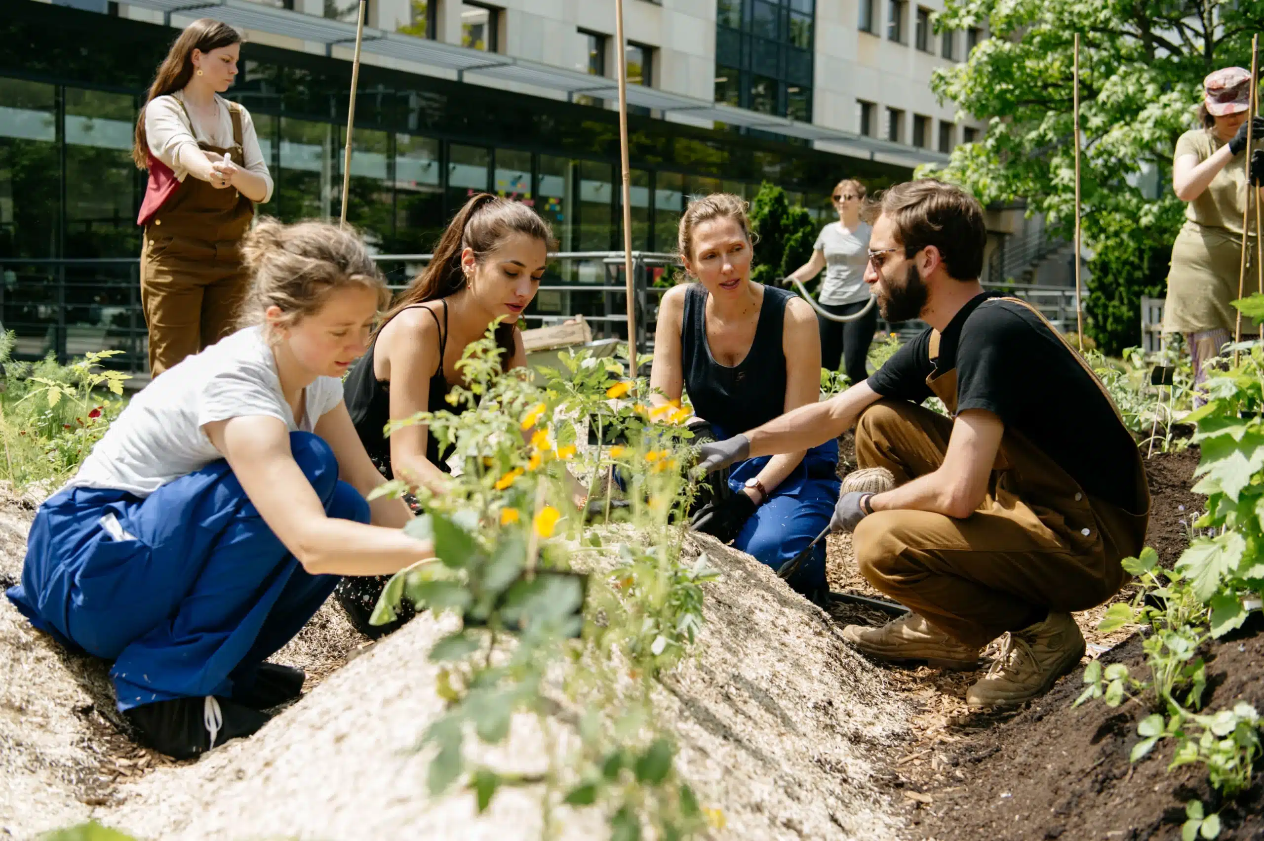 Collaborateurs et jardinier lors d'un entretien du potager collaboratif du groupe M6