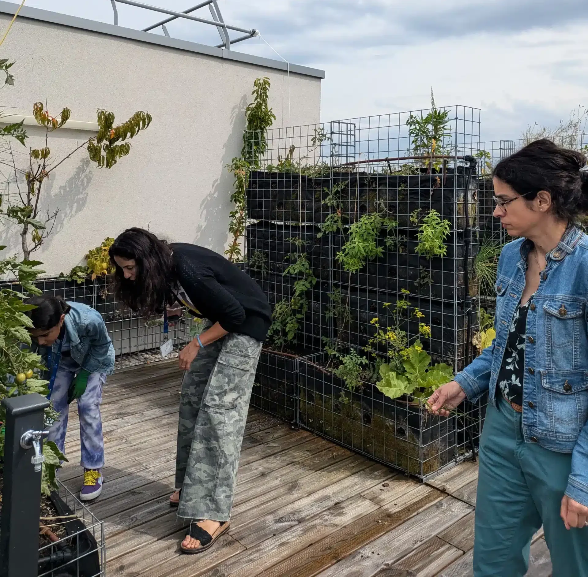 Agriculture urbaine verticale