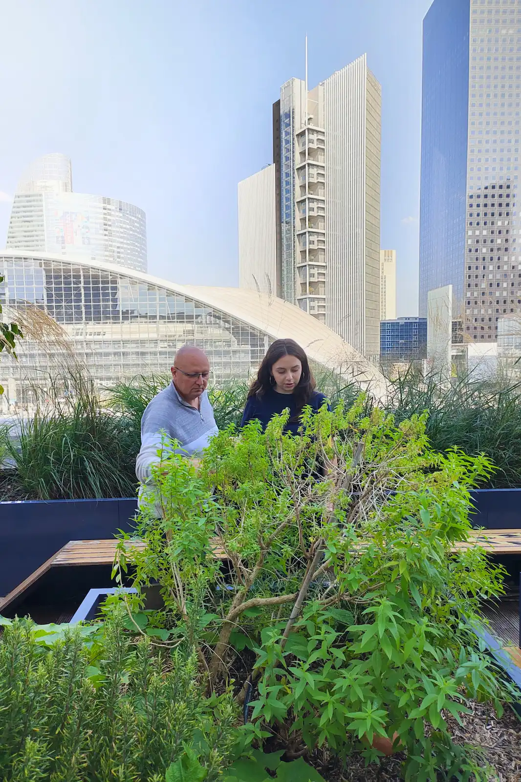 Agriculture urbaine