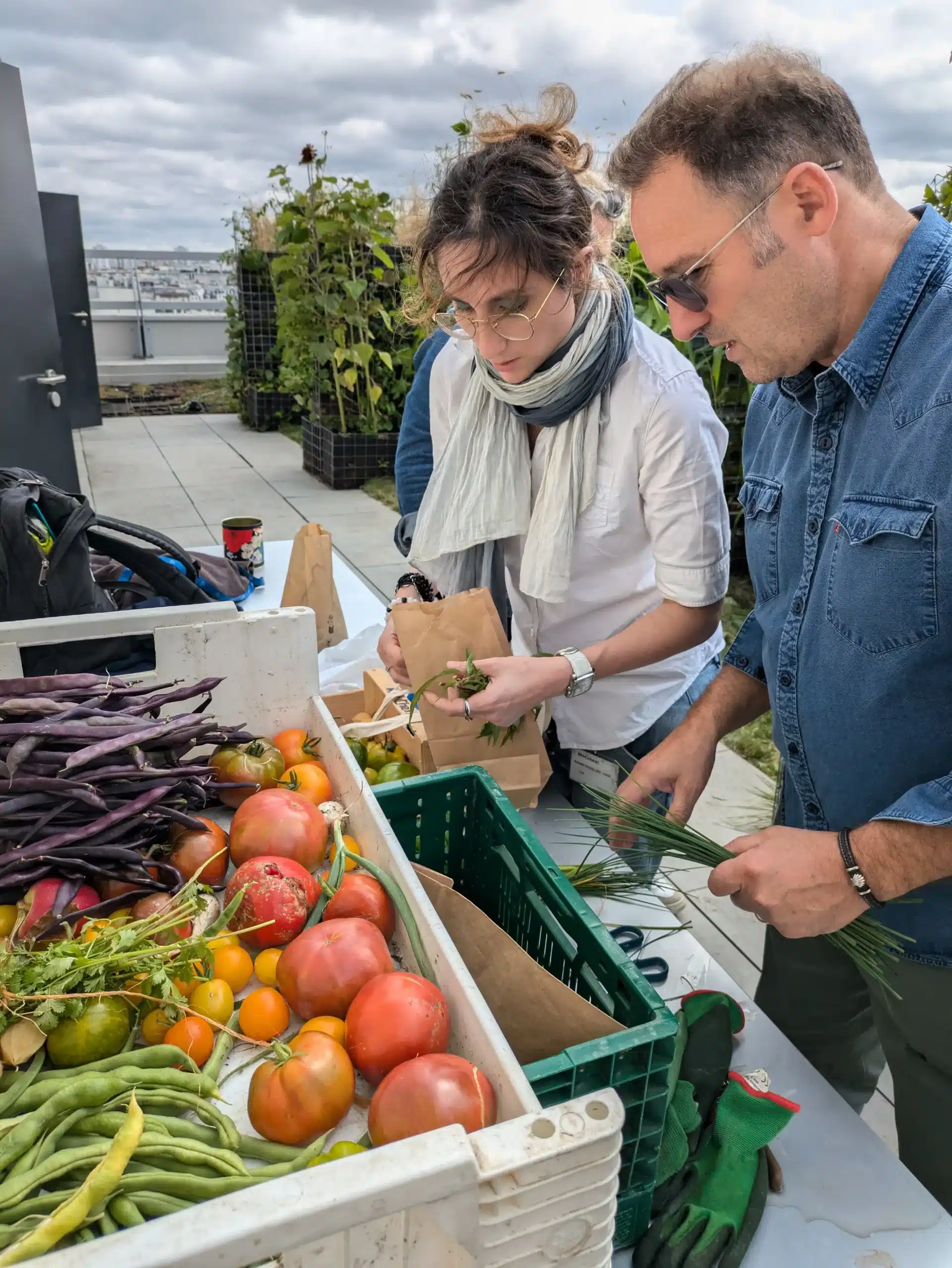 Récoltes sur les toits de l'immeuble Biome (Paris 15)