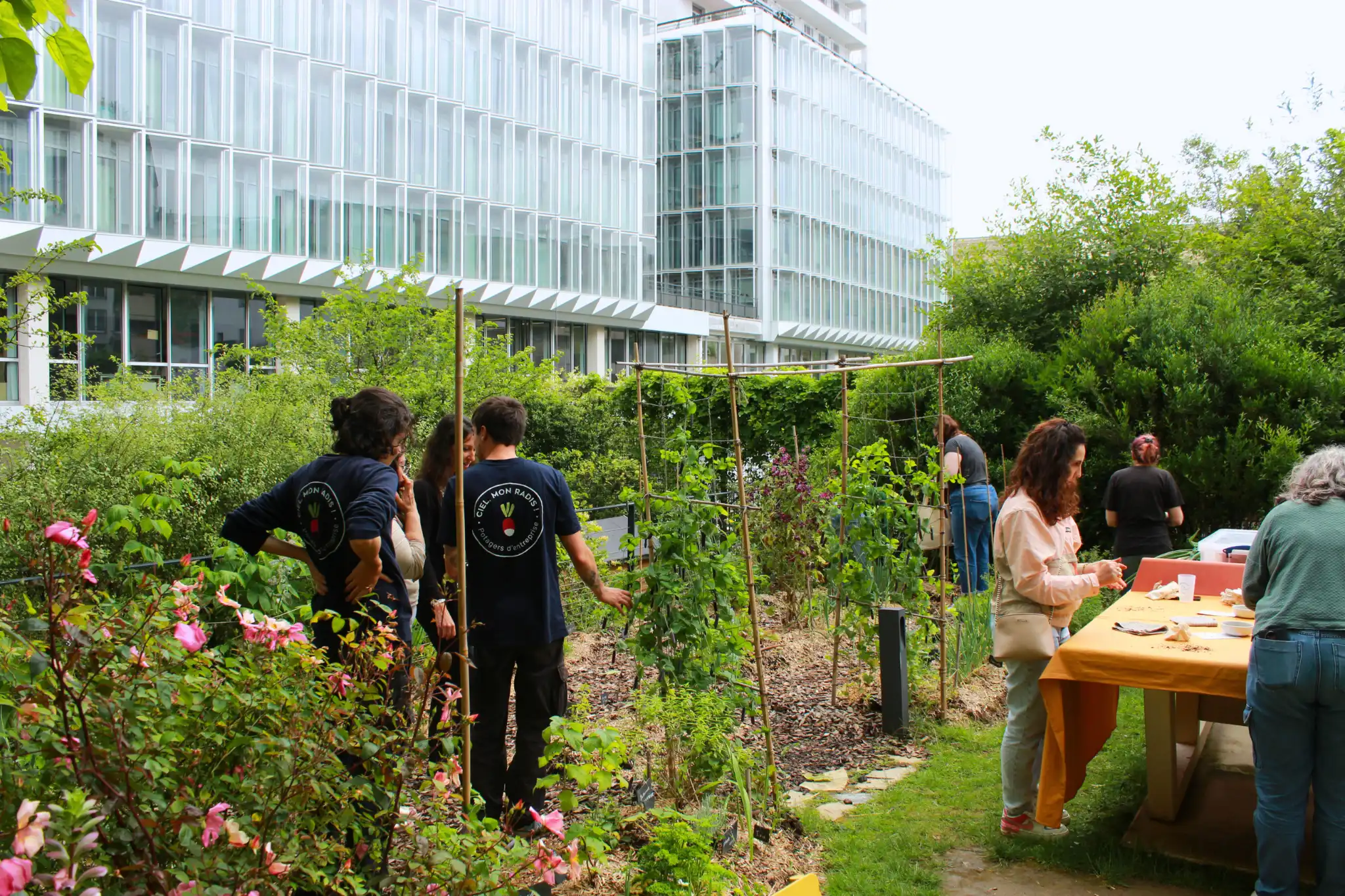 Les bureaux du futur au potager de Kadence, Paris 13