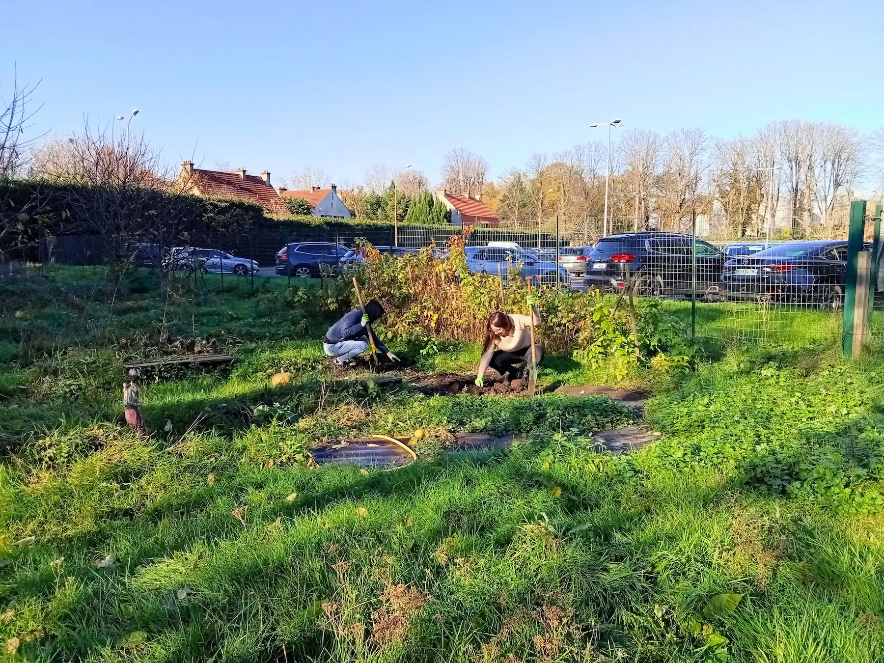potager Biospringer Cielmonradis5