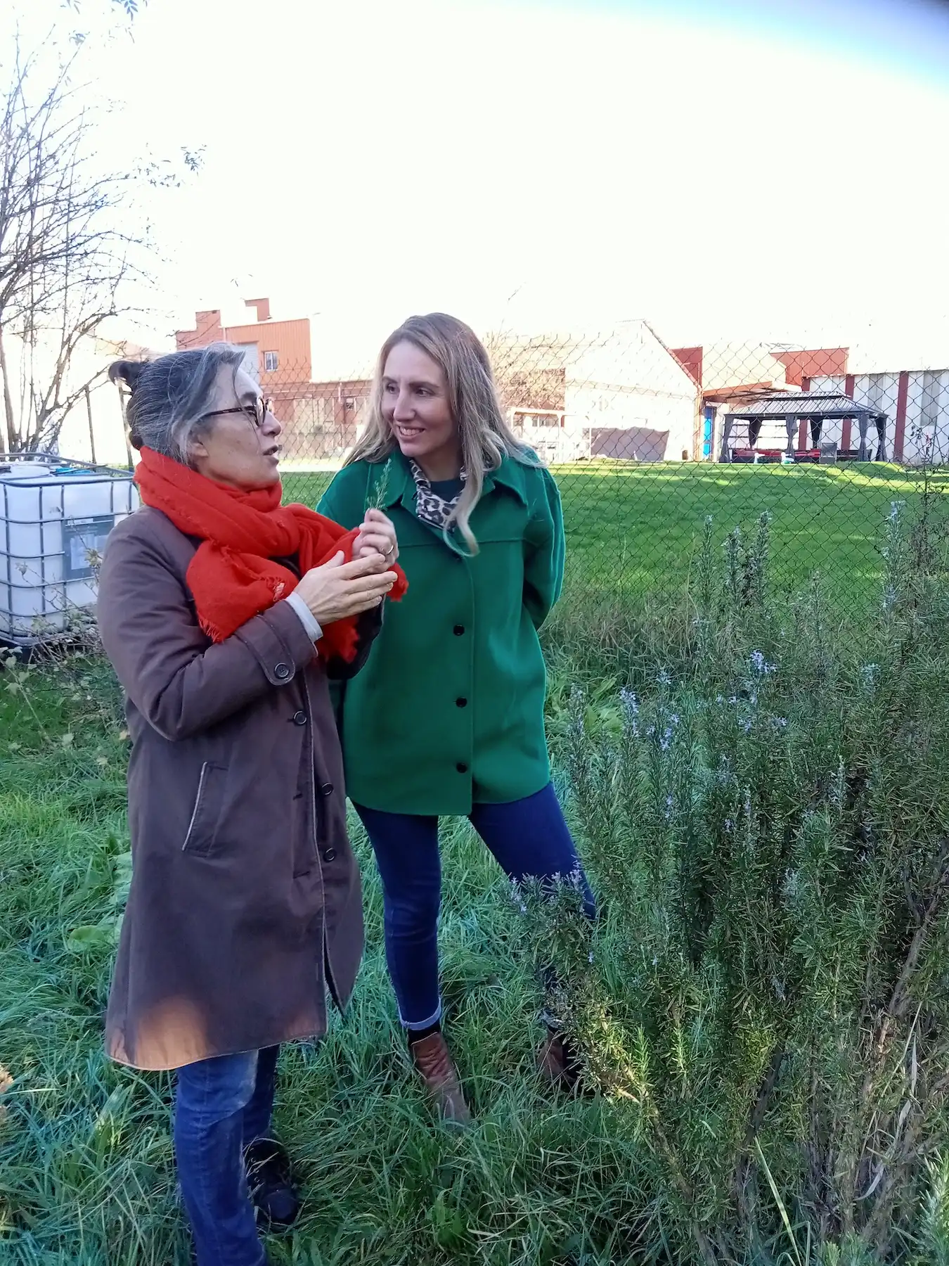 potager Biospringer Cielmonradis6