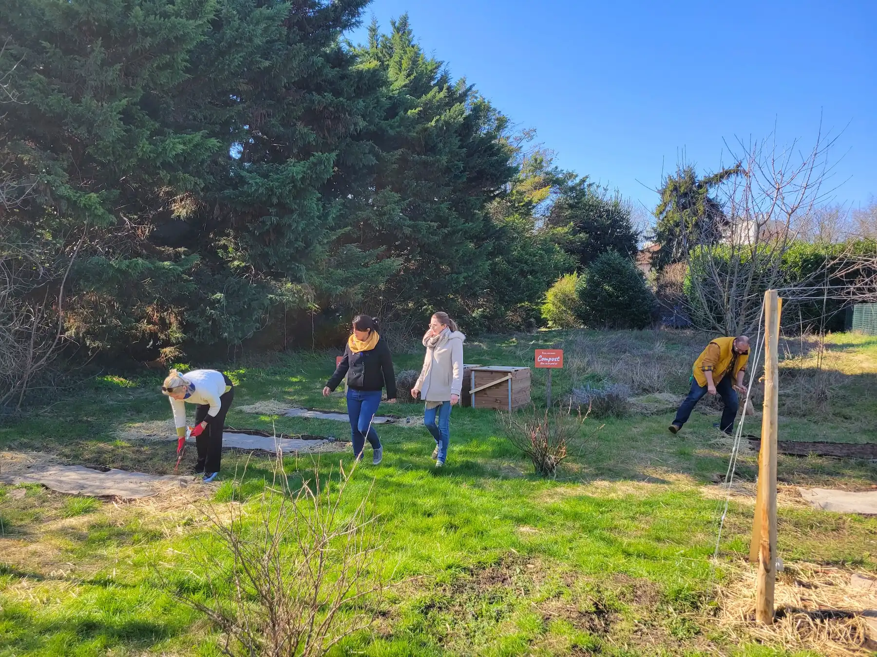 Potager Biospringer par Ciel mon radis pour participer à la QVT de l'entreprise