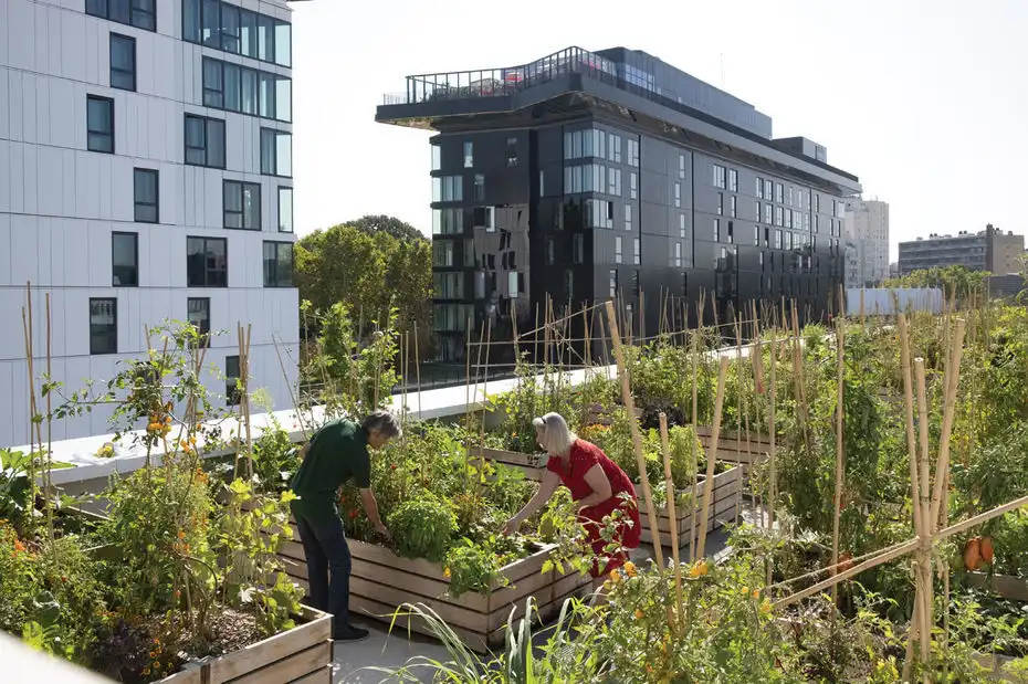 Les Carrés Parisiens, potager urbain, jardin partagé Paris