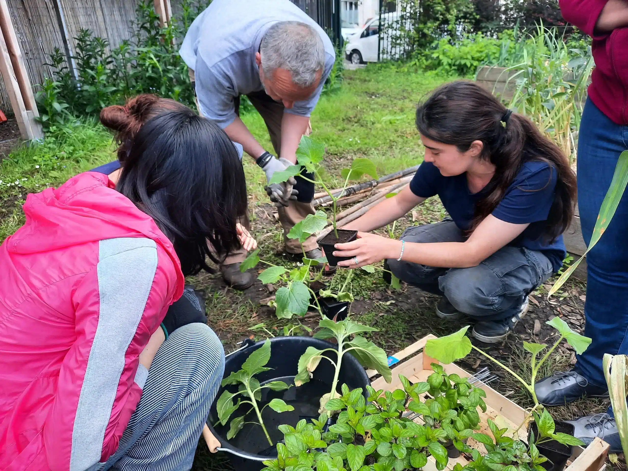 Plantation au potager du PSG - Parc des Princes avec Susan
