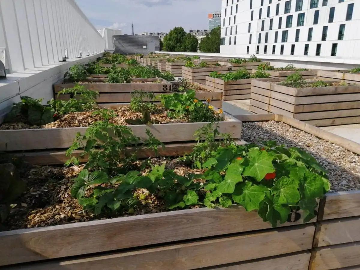 Bacs potagers aux Carrés Parisiens