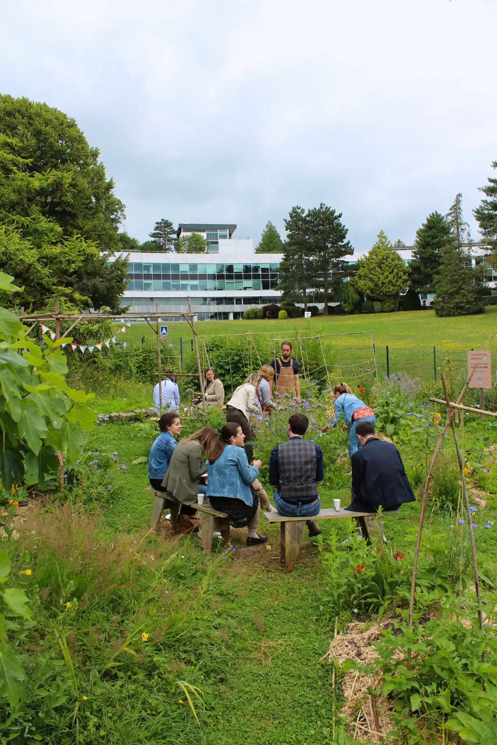 Garden party au potager d'entreprise Axa