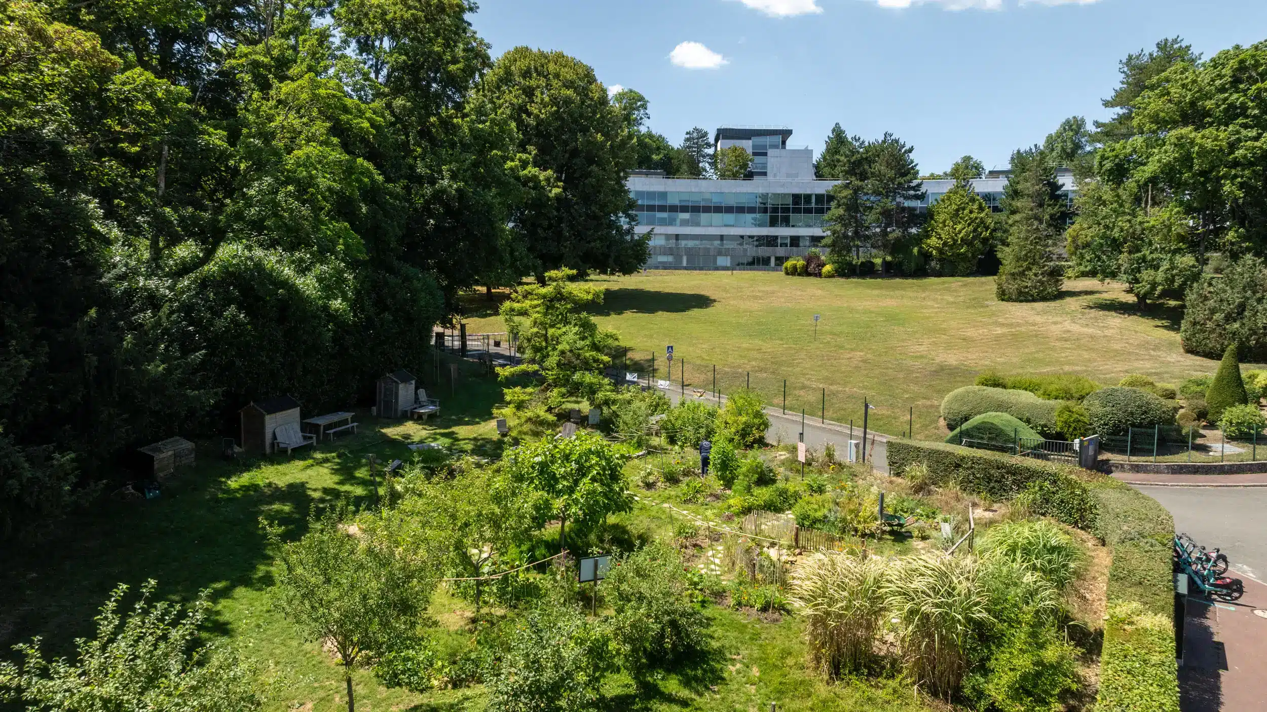 Ciel mon radis AXA web 14 2