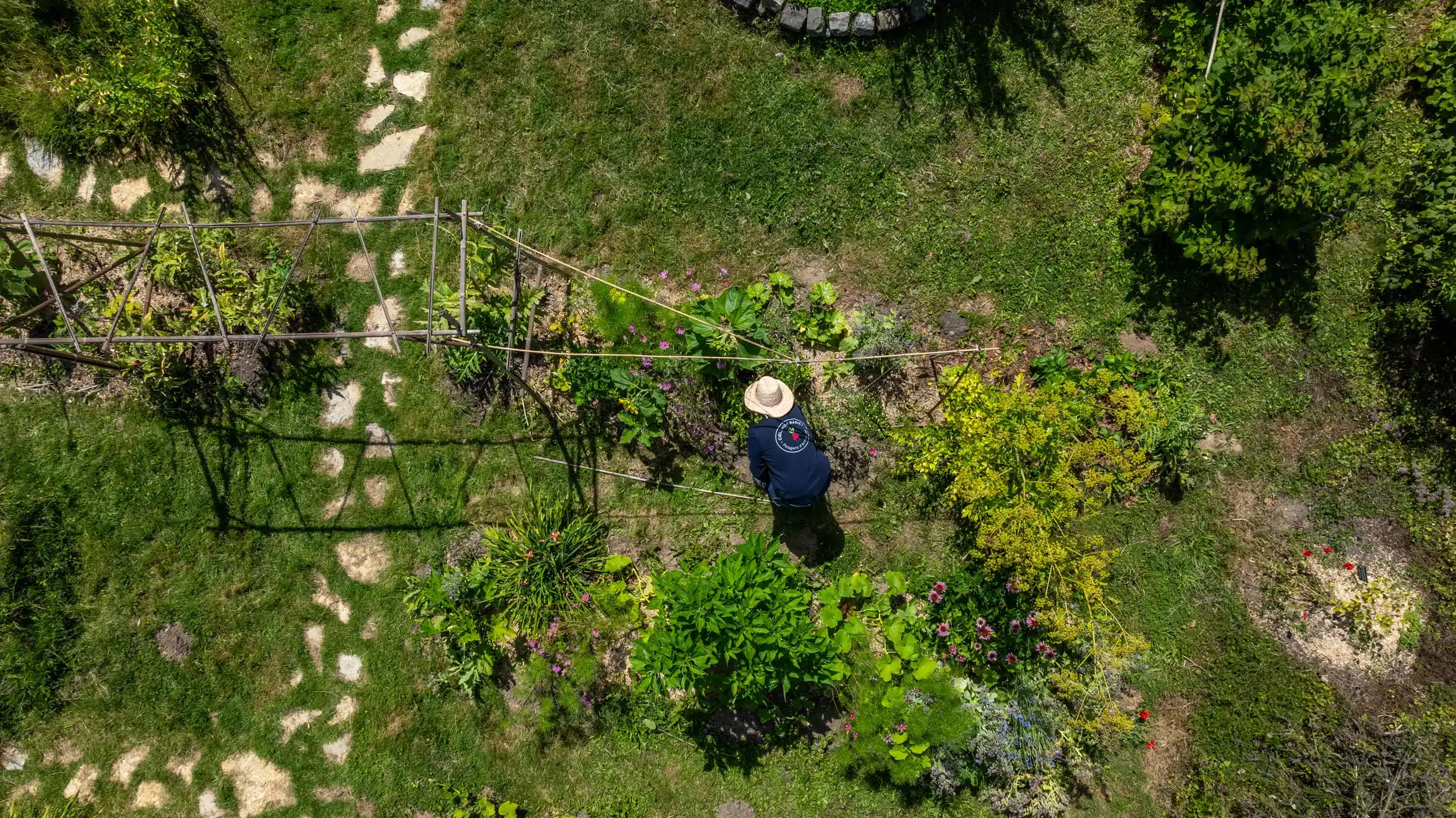 Potagers 13 Ciel mon radis AXA web 36