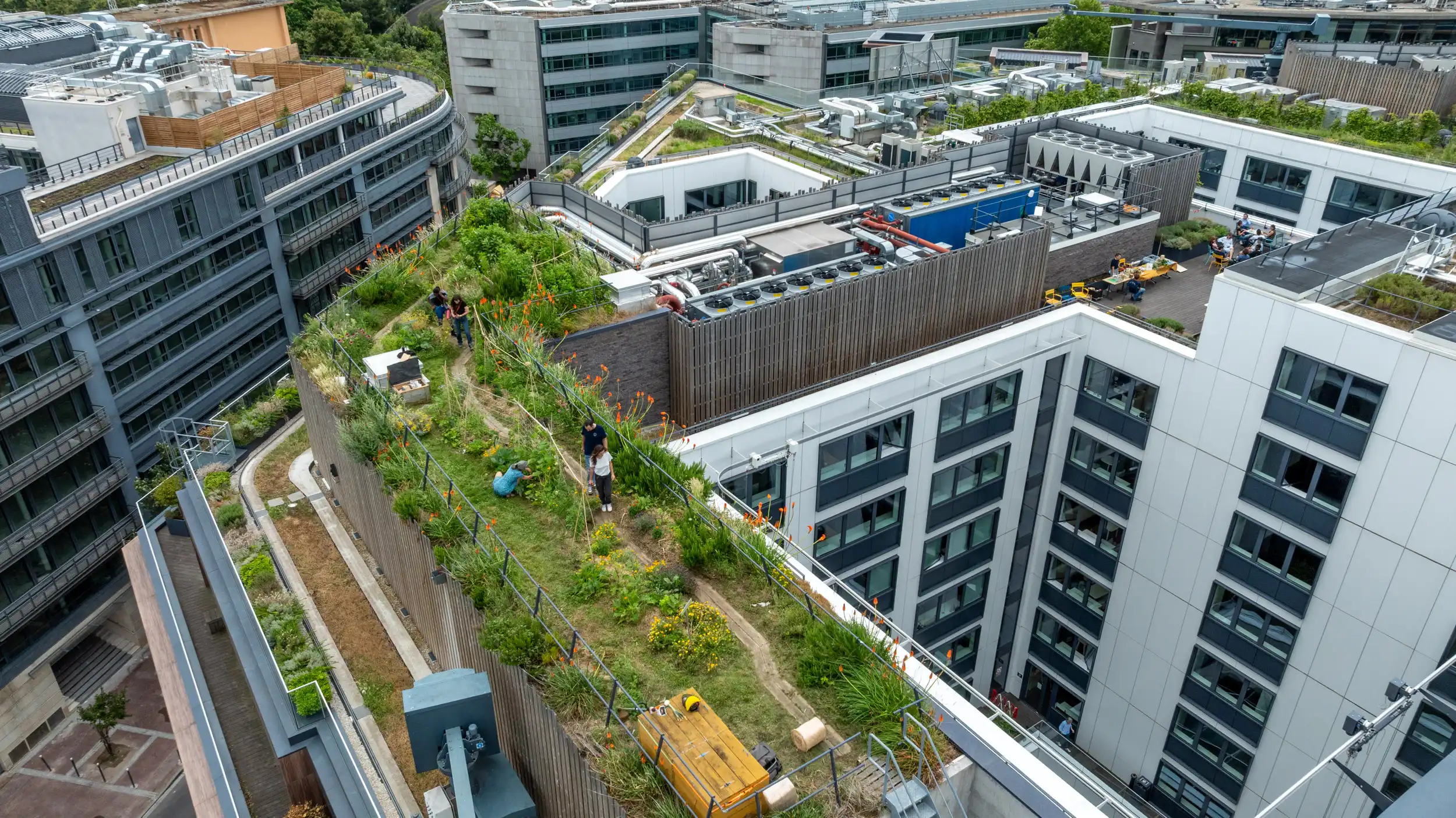 Ciel mon radis CANAL WEB 1