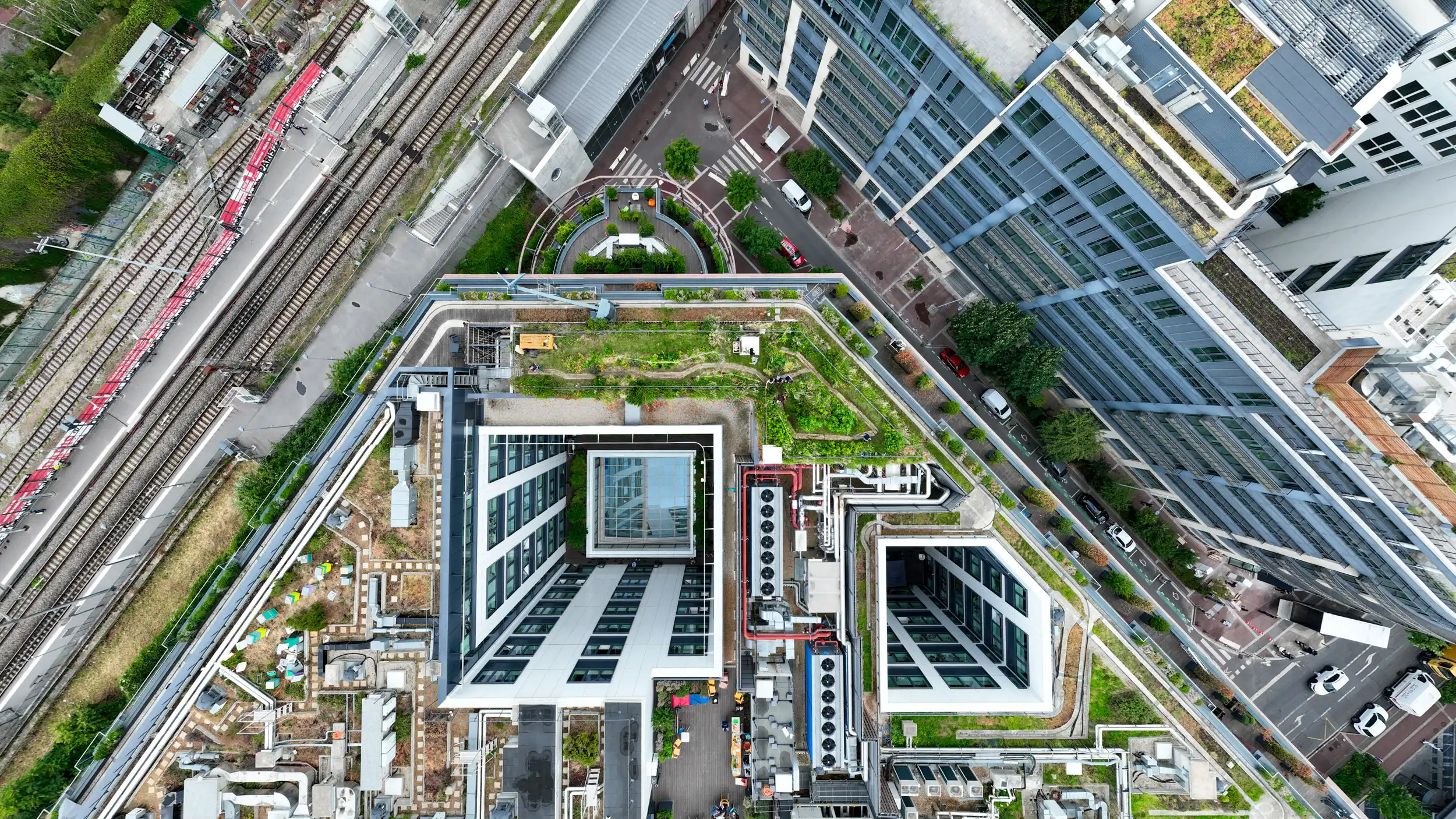 Réhabilitation urbaine : l'exemple des toitures végétalisées