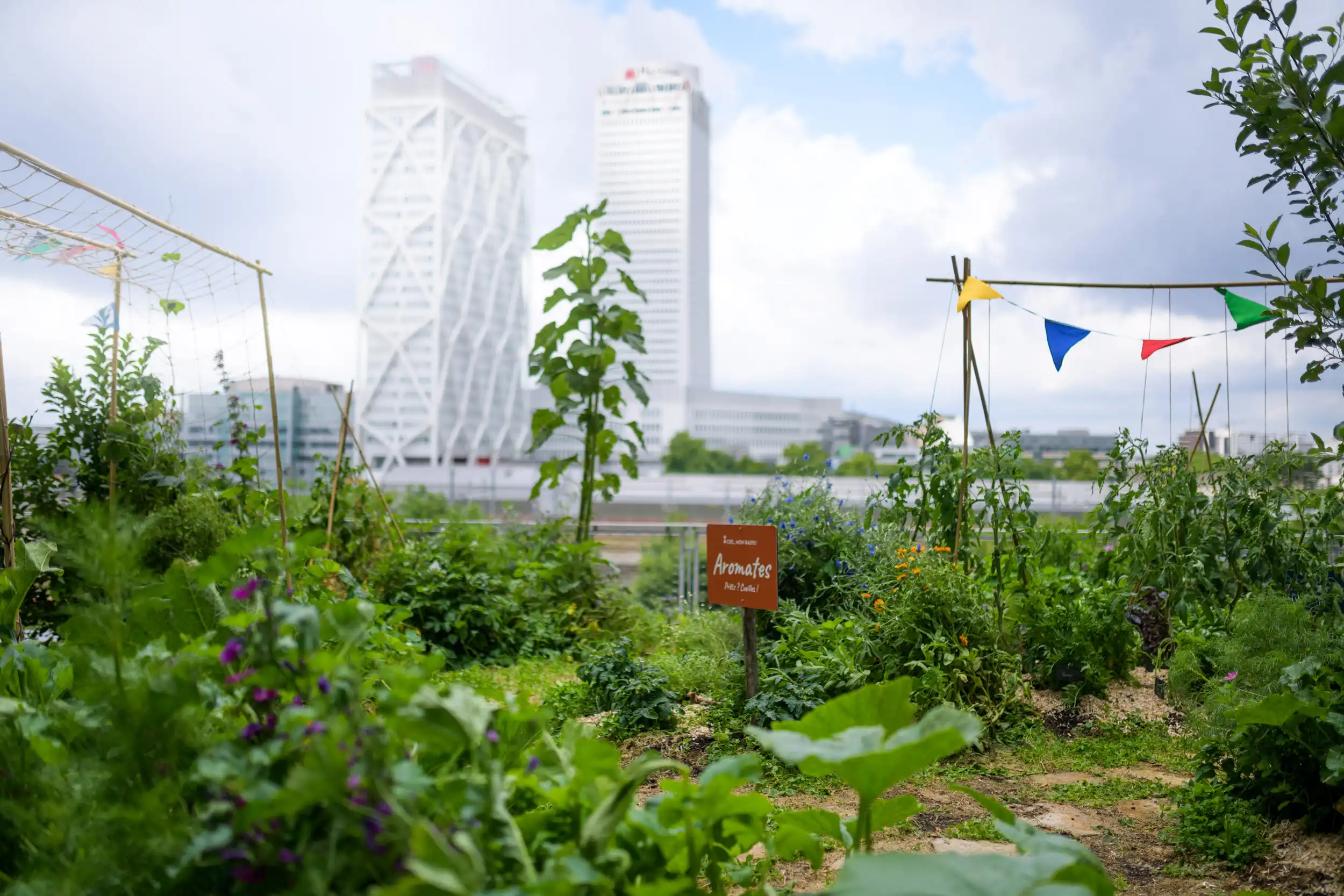 Ciel mon radis SNCF WEB 79