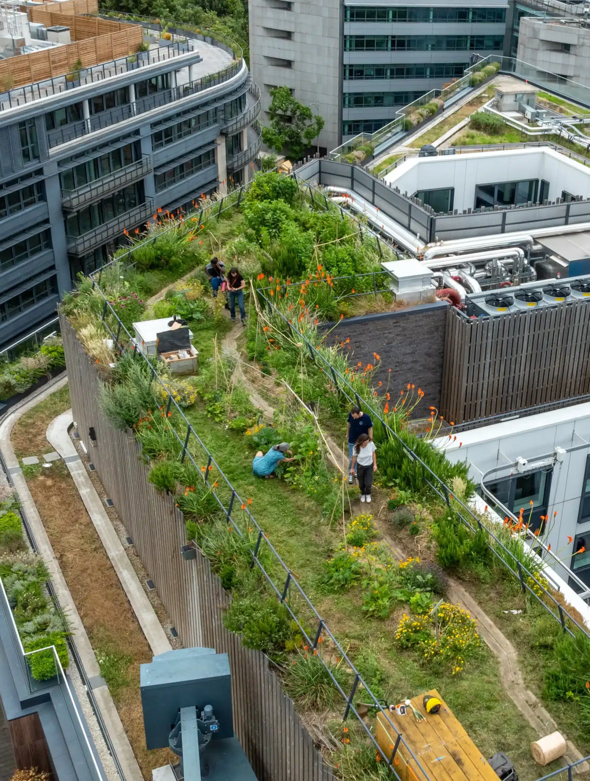 9db77fbe fbd5 4cab bc65 98e7454f7a33 scaled