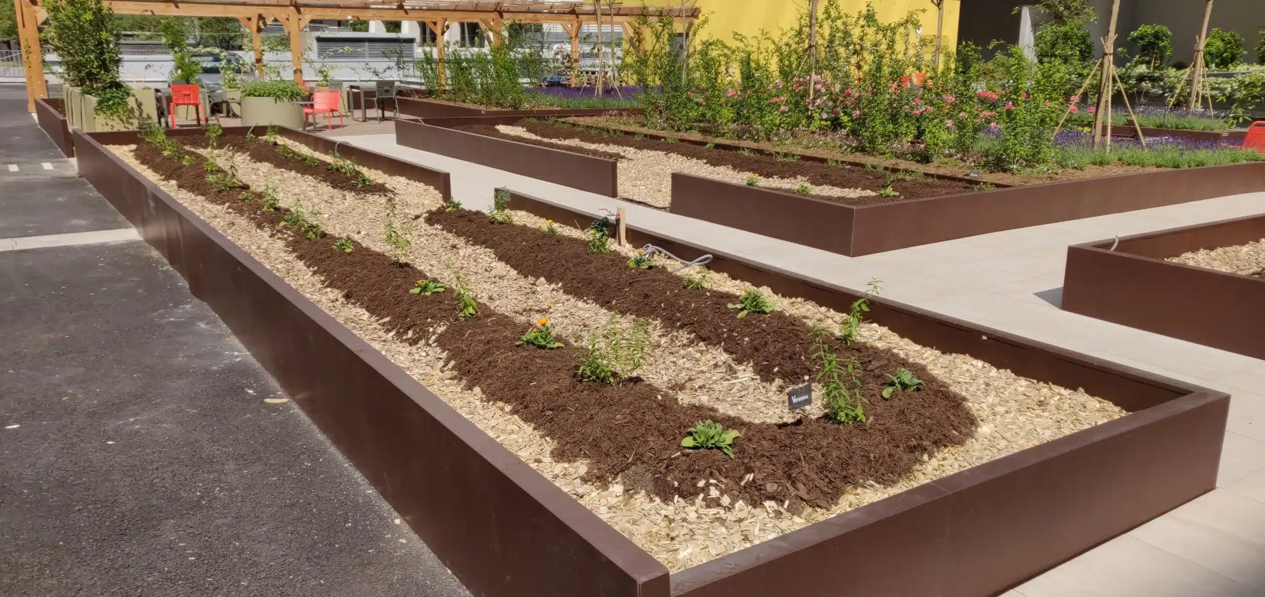 IMG 20220531 164502 scaled