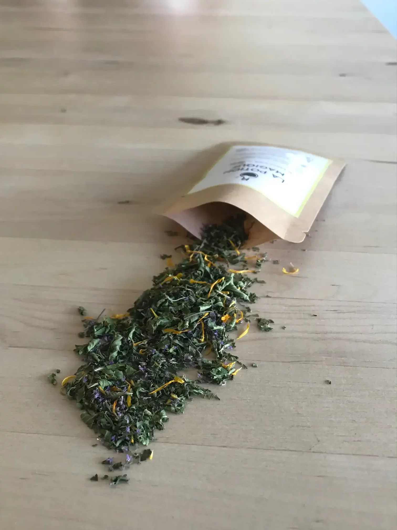 IMG 4947 e1766072221591