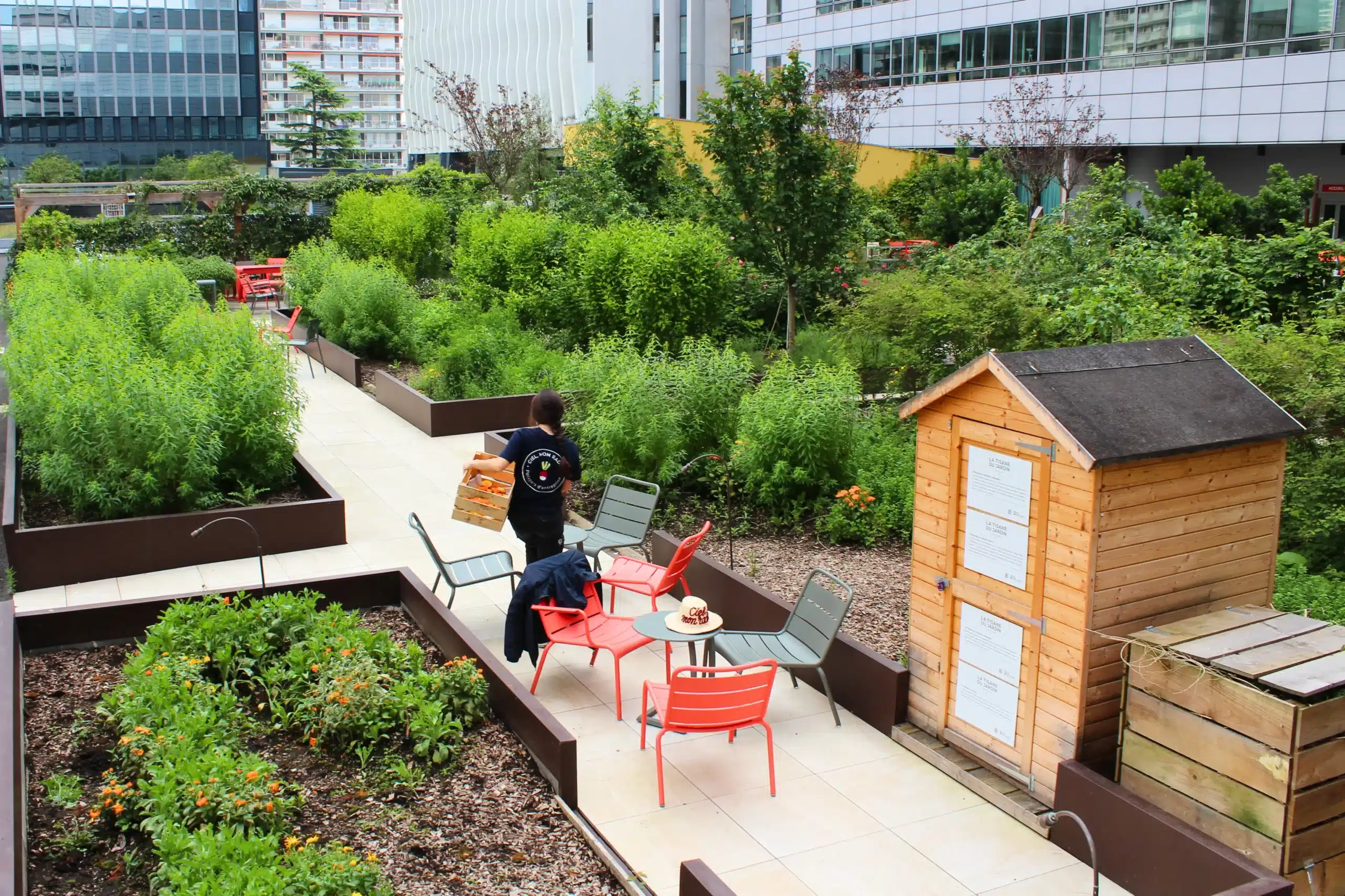 Vue ensemble tisanerie Havas6 scaled